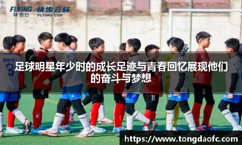 辽宁男篮90-79合肥狂风，威尔斯21+9布朗21分，国内球迷表现低迷